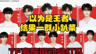 【TF家族】红队到底聚集了一帮什么奇奇怪怪的娃娃吖