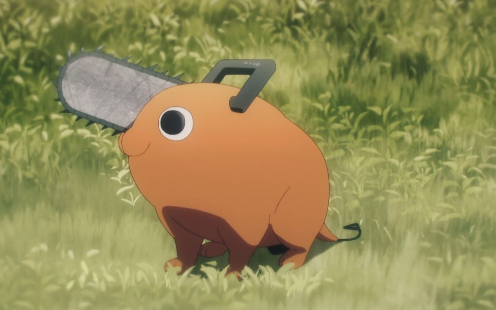 波奇塔可爱吧,往后能看到它的镜头都得按秒算了