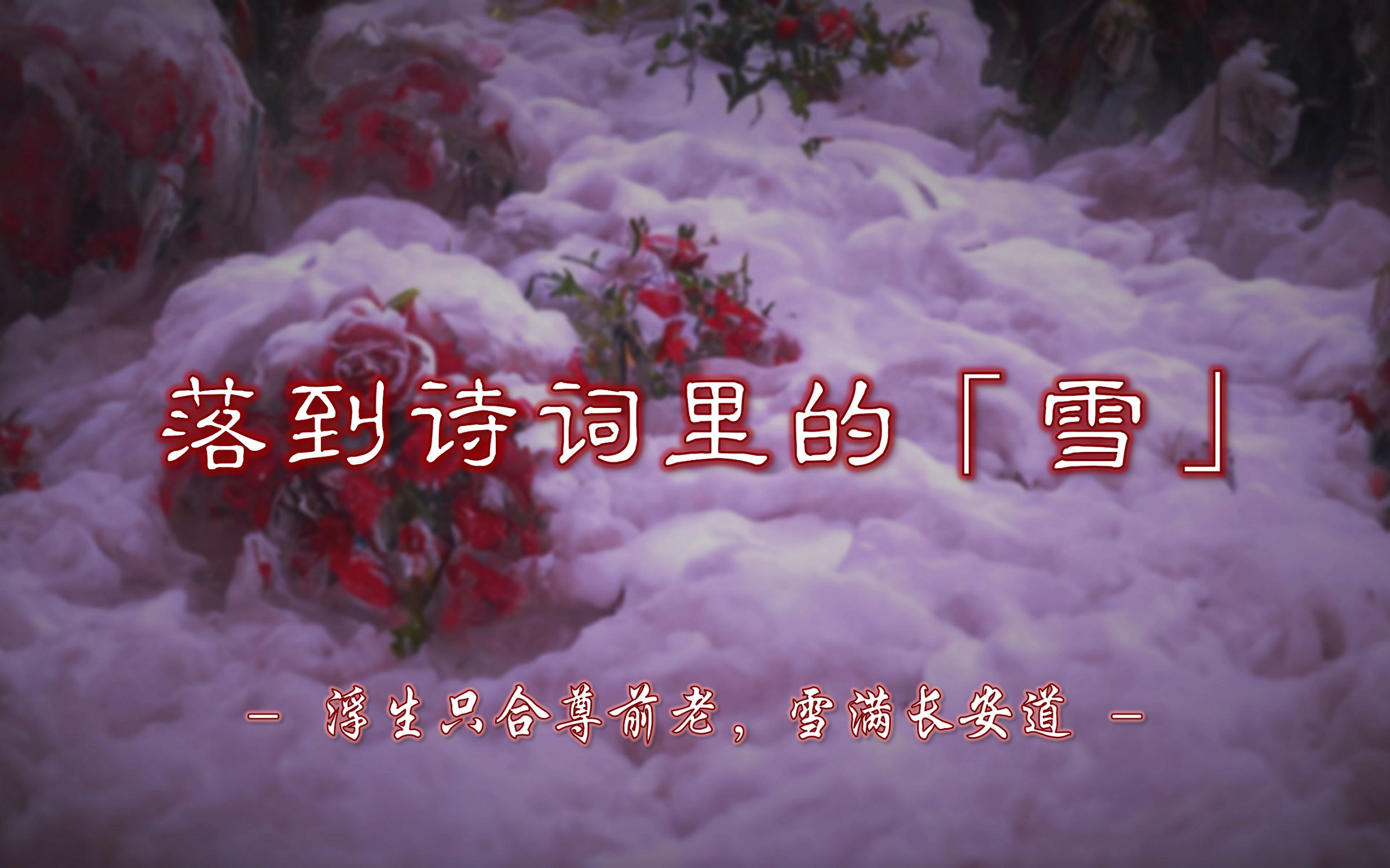 “浮生只合尊前老,雪满长安道.” | 落到诗词里的雪已积千年【摘抄/诗词】哔哩哔哩bilibili