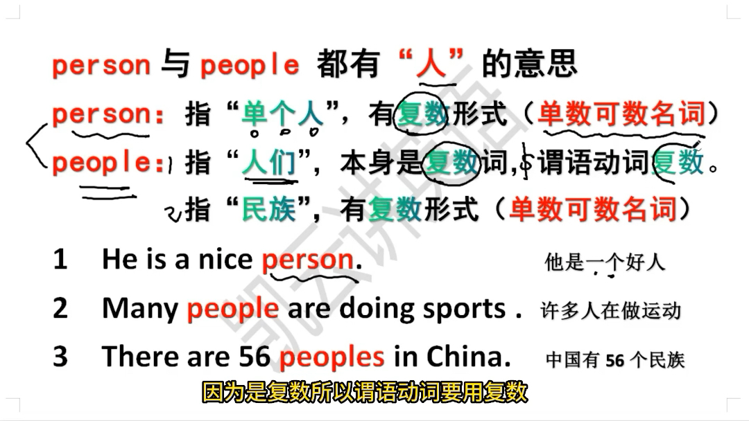 英语高频词辨析(person与people的区别)哔哩哔哩bilibili