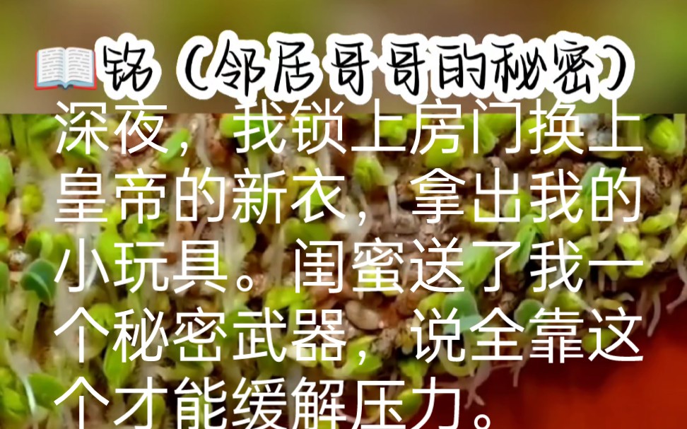 铭(邻居哥哥的秘密),书旗可看后续,超精彩哔哩哔哩bilibili