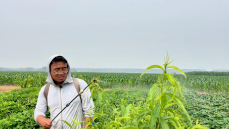 刚种植的桃树,打什么药防治食心虫,快来看看哔哩哔哩bilibili