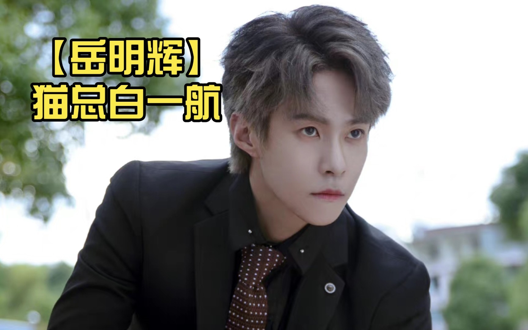 【岳明辉】猫总白一航