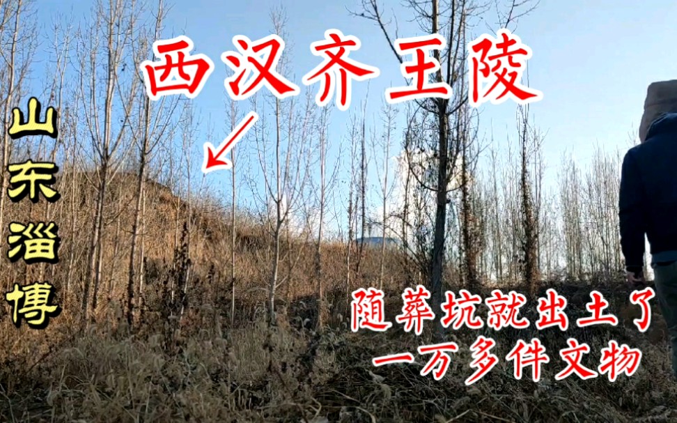 [图]探访山东西汉齐王陵！主墓没有发掘，仅陪葬坑文物就壮观罕见。