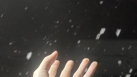 他朝若是同淋雪