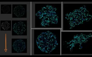 Tải video: Houdini 通过测量数据 实现线条闪烁的效果（工具分享）