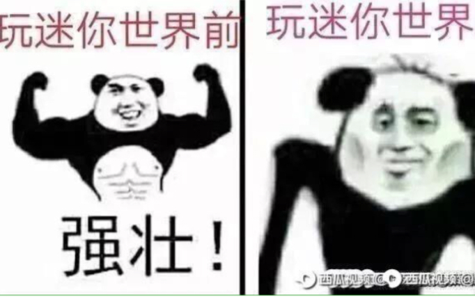 熊猫图合集哔哩哔哩bilibili