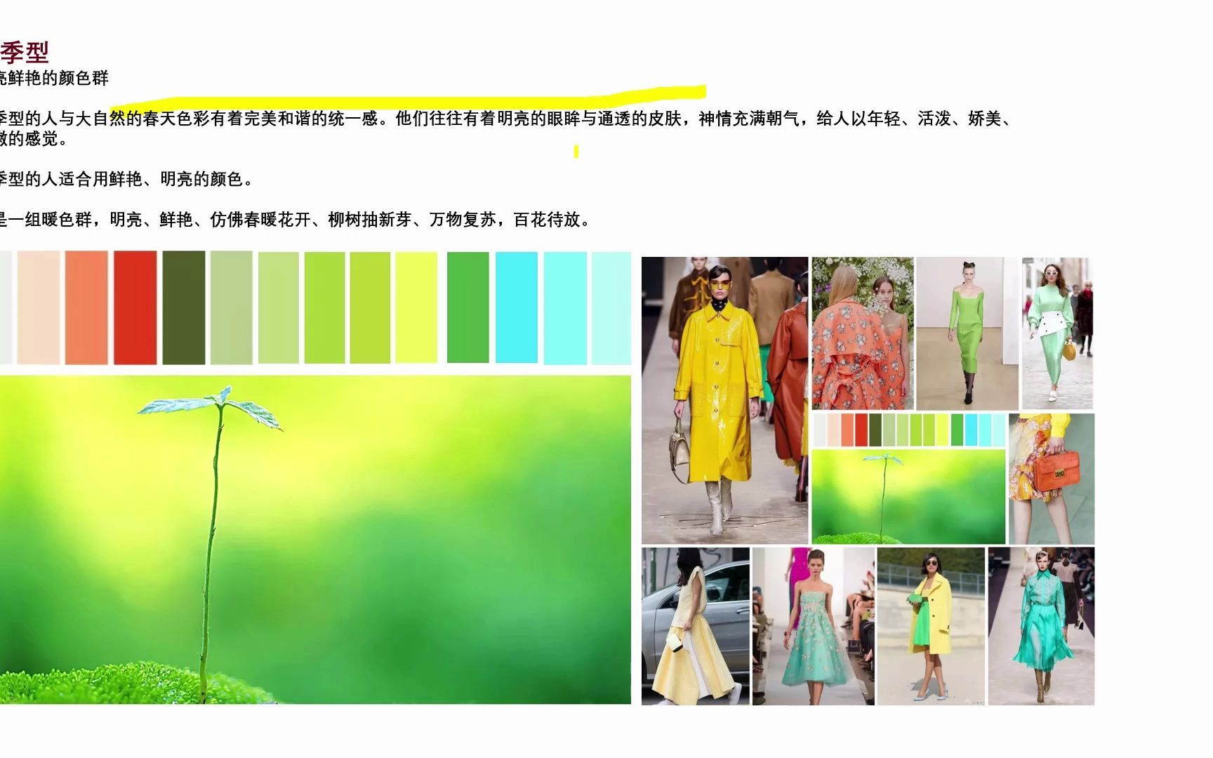 四季色彩季节理论和十二色彩季型理论哔哩哔哩bilibili