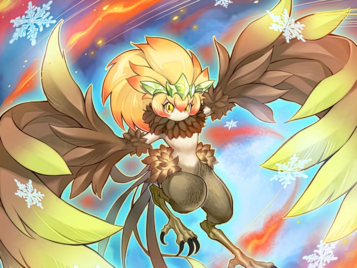 游戏王『黑羽』高清卡图欣赏