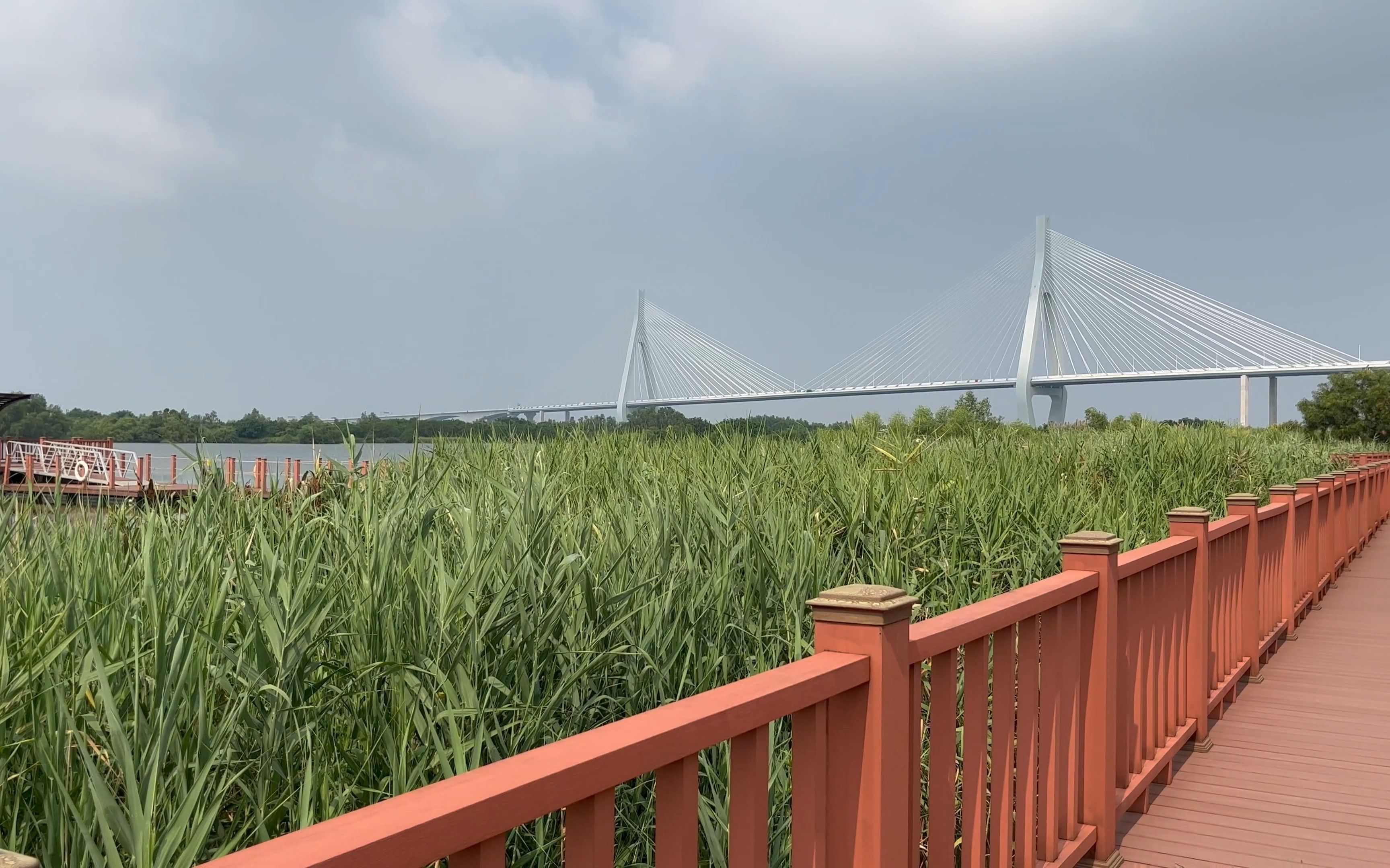 珠海芒洲湿地公园