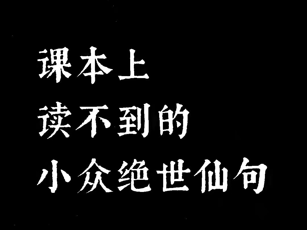 “课本上读不到的小众绝世仙句”哔哩哔哩bilibili