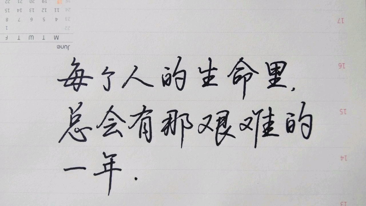 每个人的生命里总会有那艰难的一年