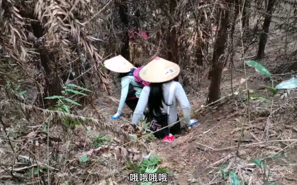 看看我们清远连山壮族瑶族自治县当地的传统祭祖,翻山越岭太不容易,很多人都无法体验到,因为南方和北方差异大,南方地方不同也不一样.哔哩哔哩...