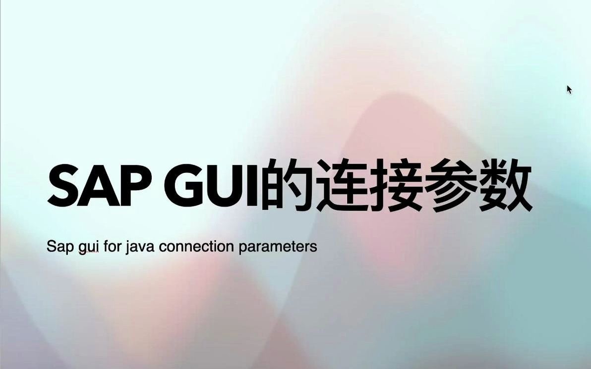 SAP干货 | SAP GUI的连接参数哔哩哔哩bilibili