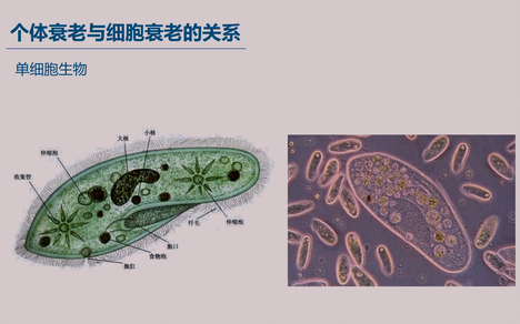 四川绵阳南山中学的个人空间 哔哩哔哩移动版