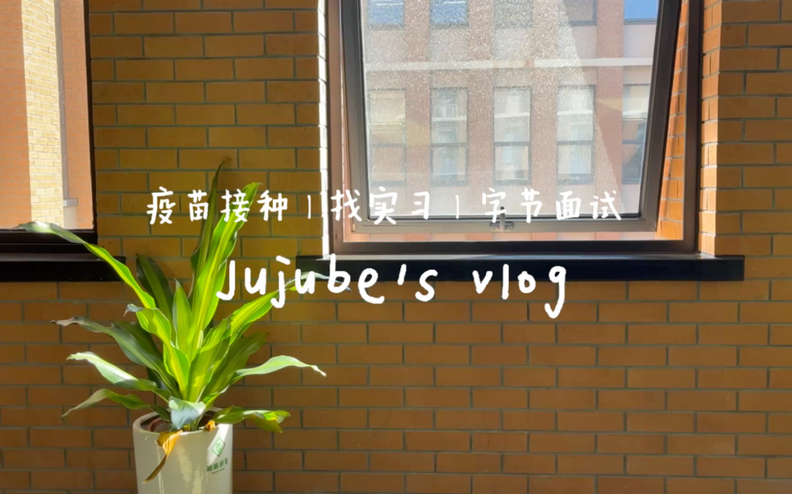 宁波大学VLOG|新冠疫苗接种|互联网大厂面试|字节跳动|找实习哔哩哔哩bilibili