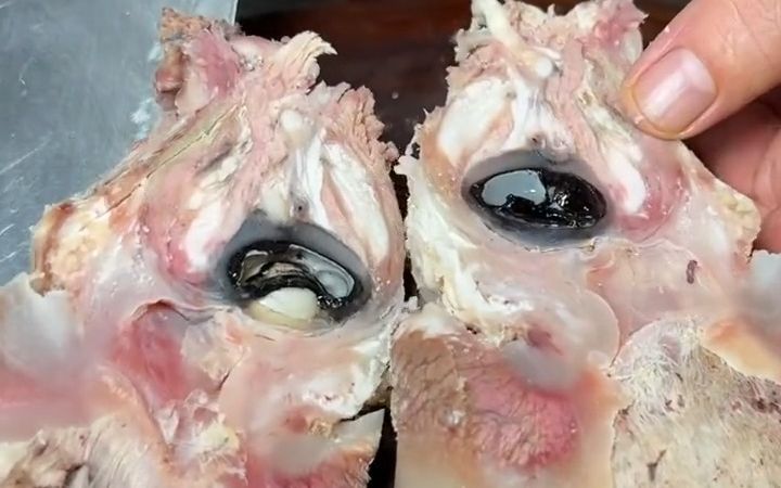 带毛牛眼睛 锦州烧烤