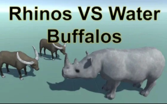 [图](搬运)Rhinos versus Water Buffalos