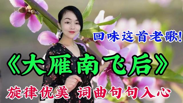 [图]回味这首老歌！太好听了《大雁南飞后》旋律优美歌声阵阵入耳