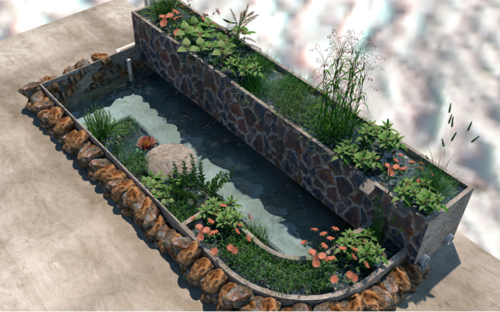 鱼龟混养沼泽过滤池,这样搞可以吗,没问题有时间抽空施工了