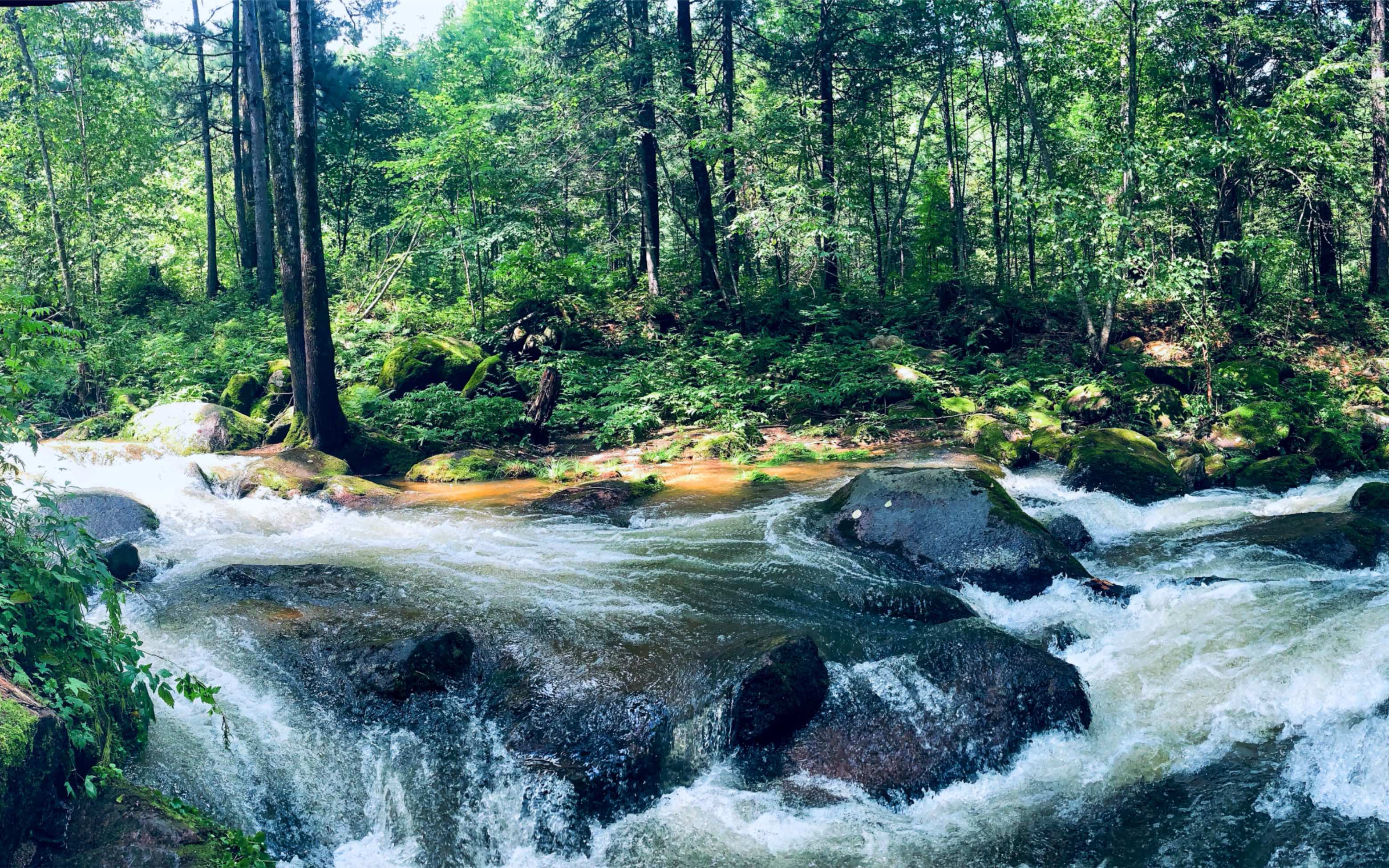 [图]《我从崖边跌落》——带岭大箐山