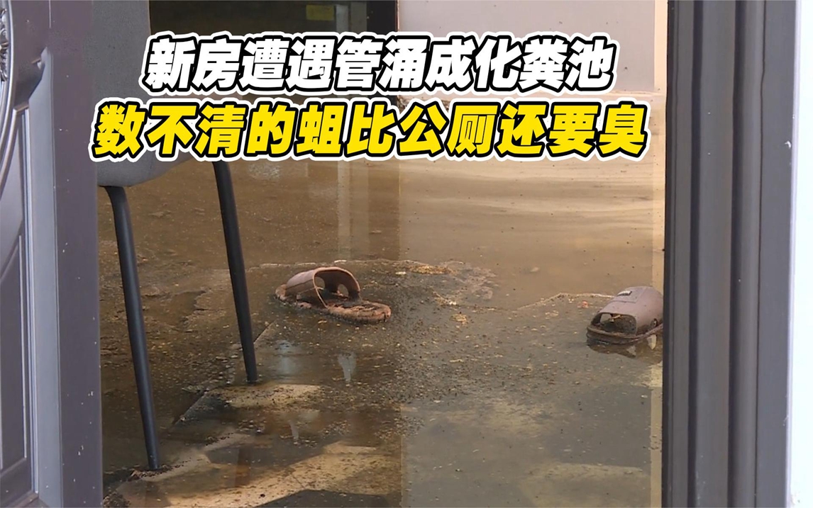 新房遭遇管涌成化粪池,长满了数不清的蛆,业主:比公厕还要臭