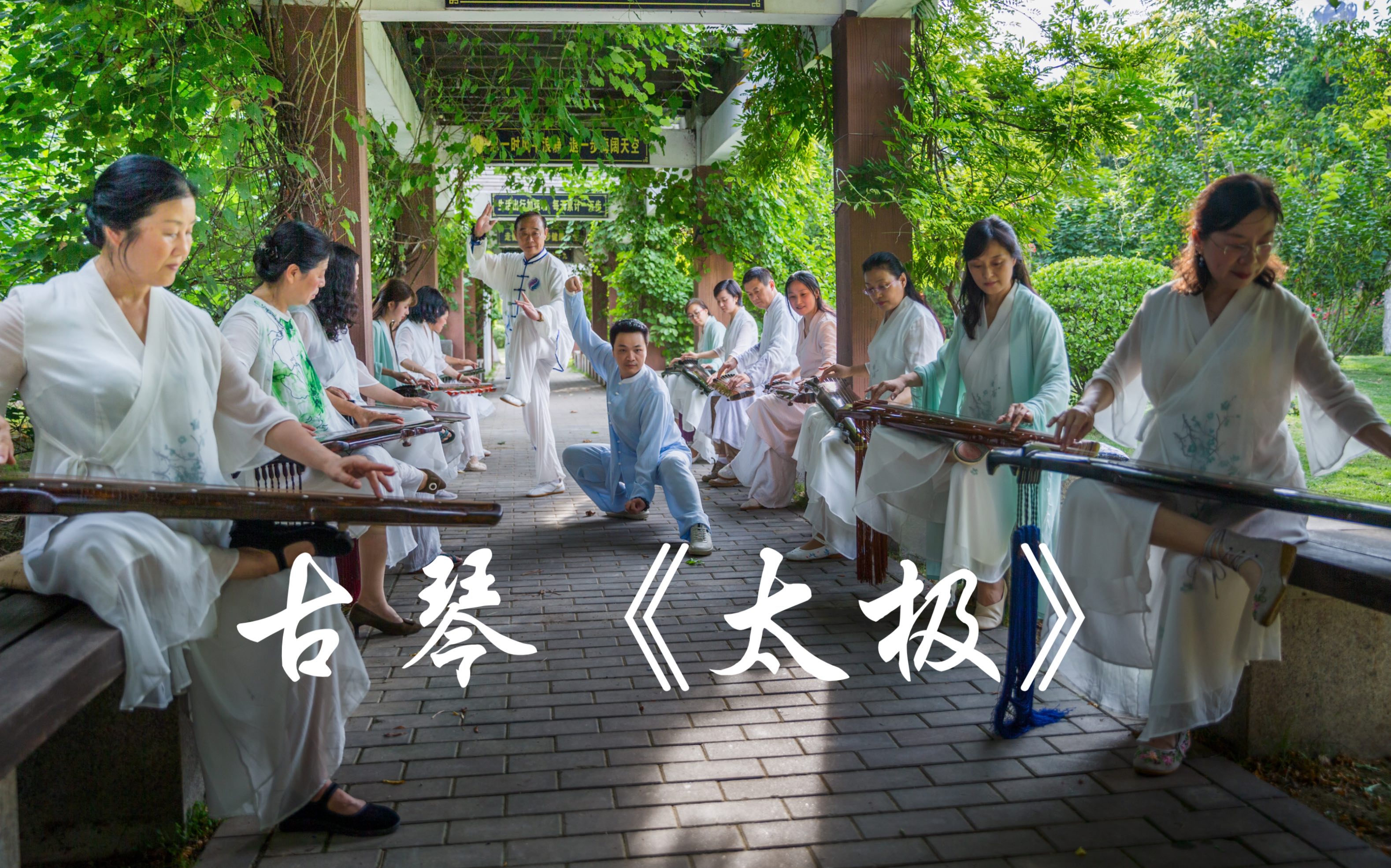 葛勇古琴版《太极》  形为心之动 意为心之音 形断神还在 音断意还连