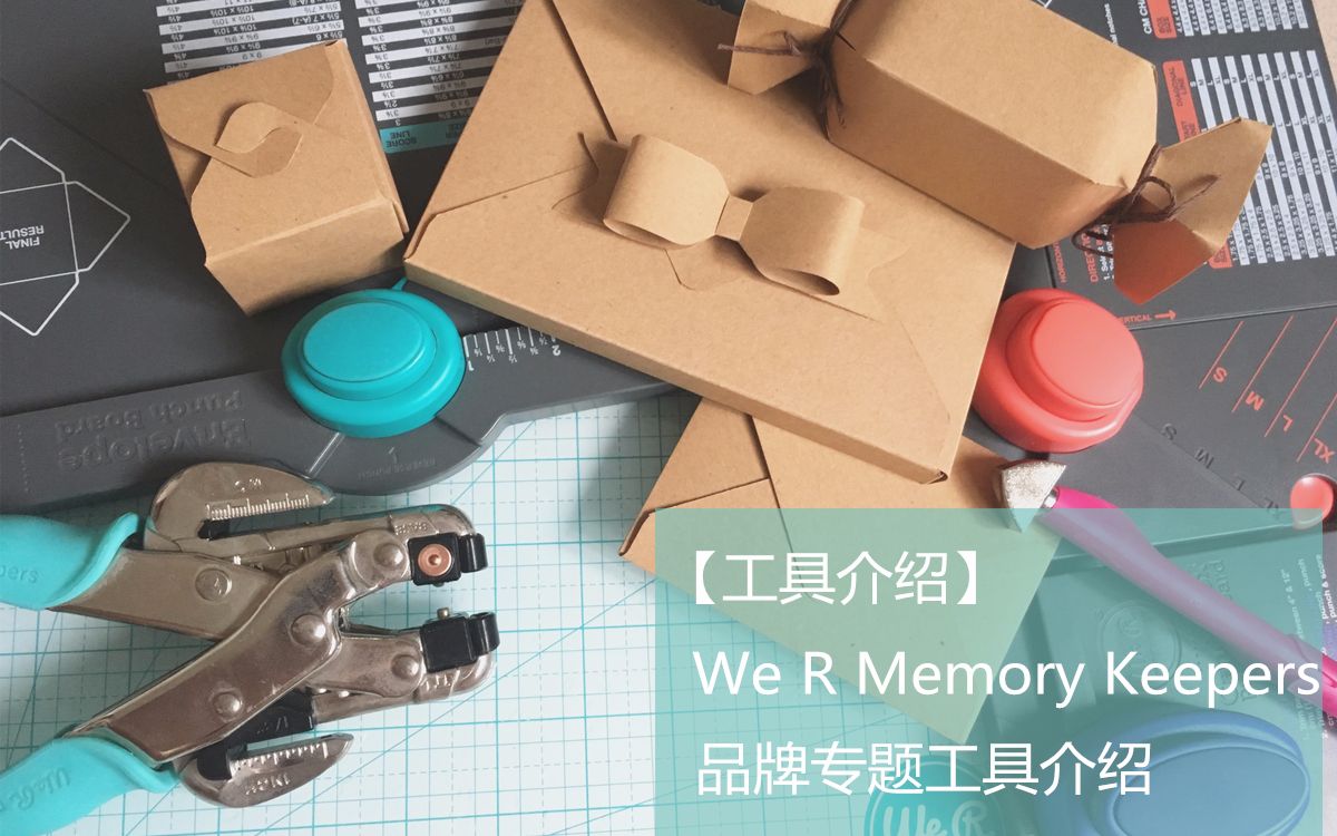 【工具介绍】We R Memory Keepers 专题工具介绍哔哩哔哩bilibili