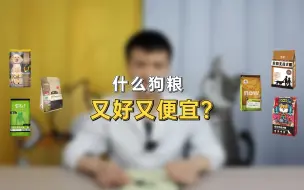 Download Video: 什么狗粮又好又便宜？