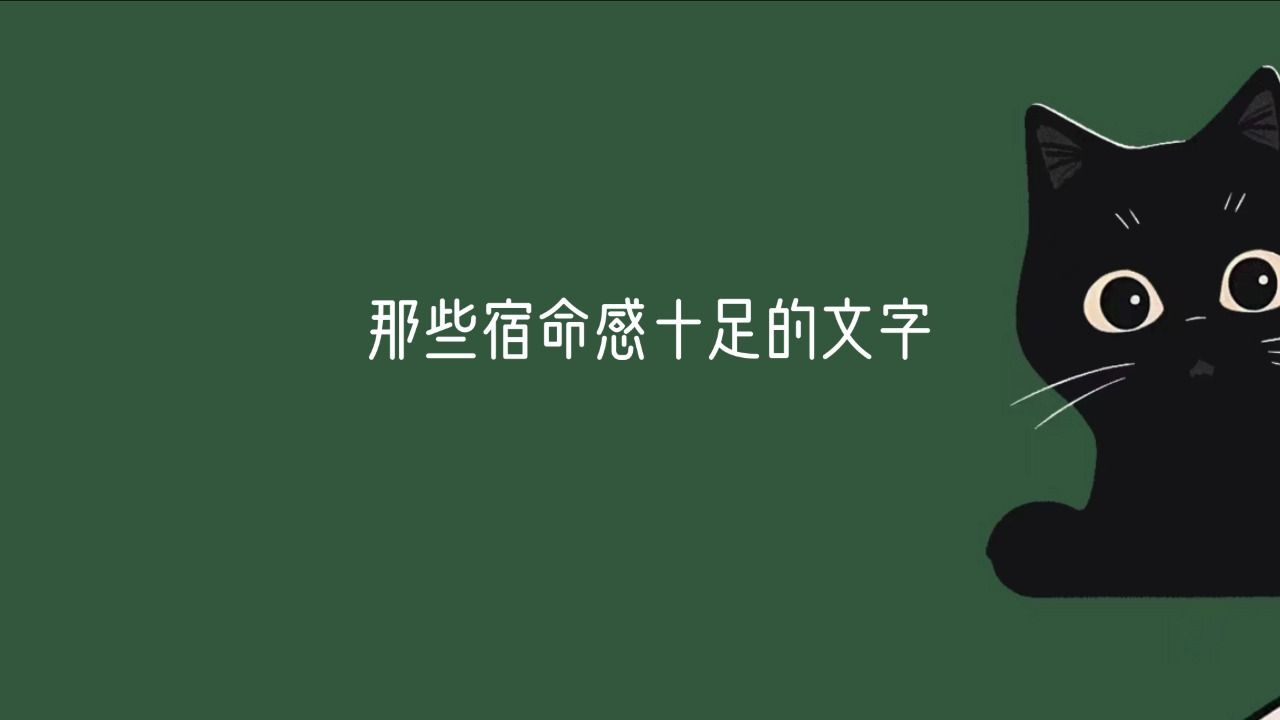 【书摘/温柔】“无边无际连绵的季风雨, 水獭也许会再度化身为鲸.”(那些宿命感十足的文字)哔哩哔哩bilibili