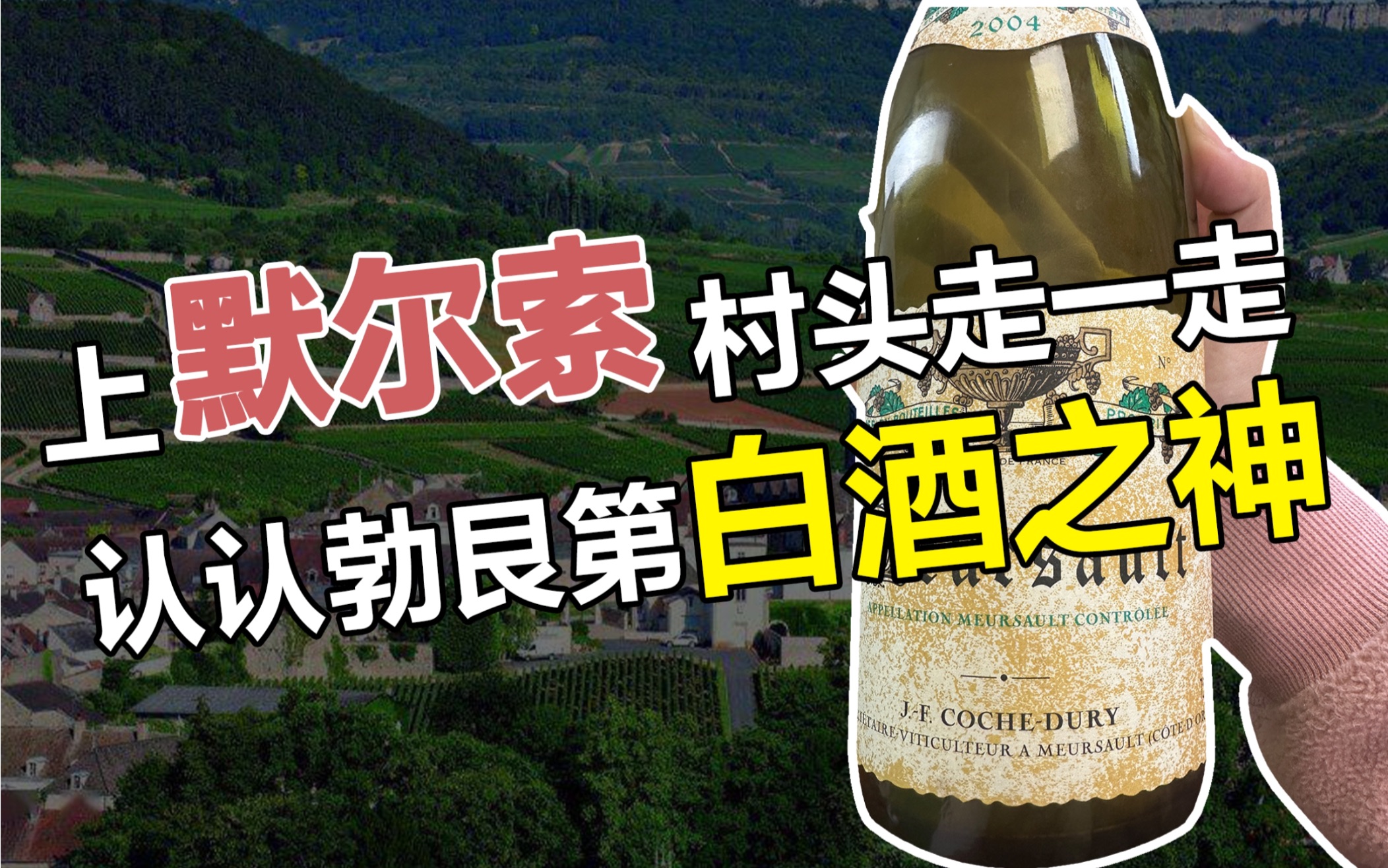 一期认俩酒标—Coche Dury&Boisson Vadot,大概研究下默尔索~哔哩哔哩bilibili