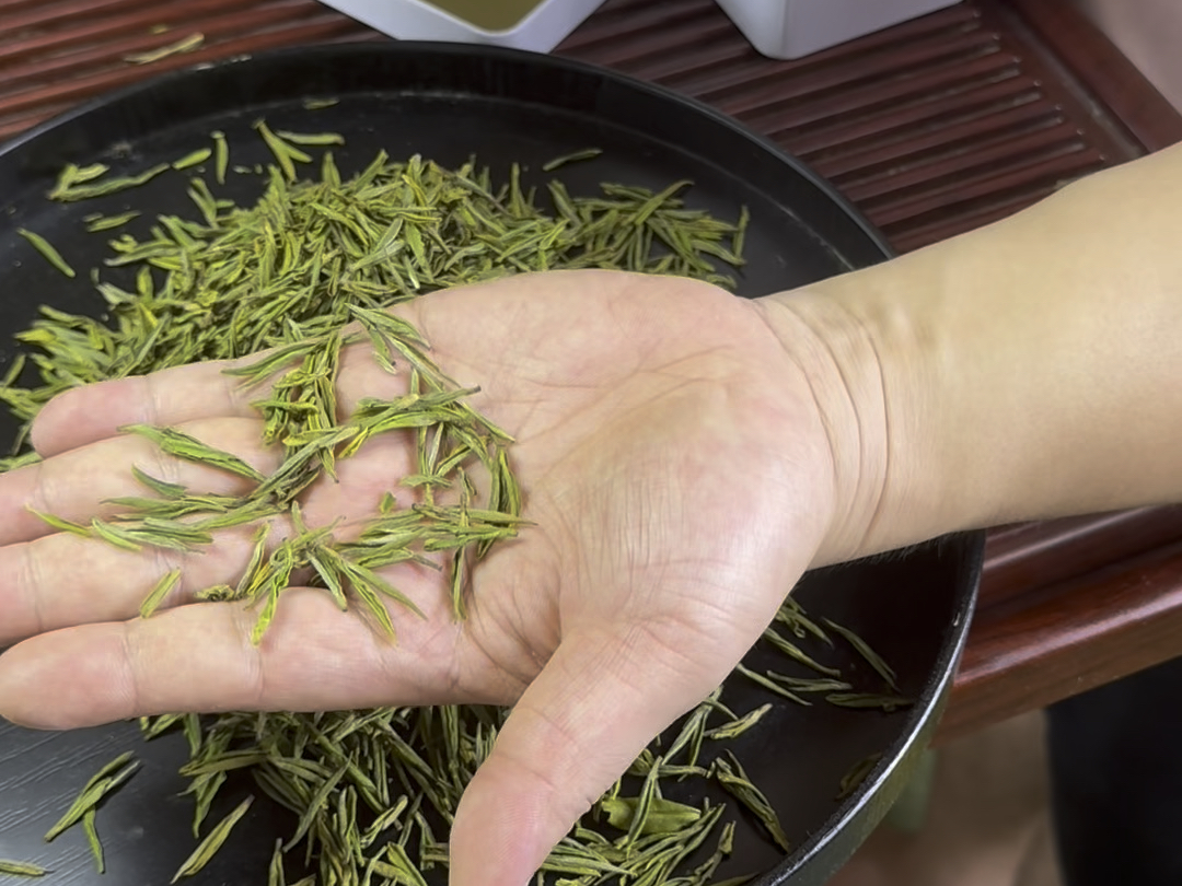 明前精品安吉白茶,颗颗嫩芽,高端开园头采,正宗原产地安吉白茶,高级