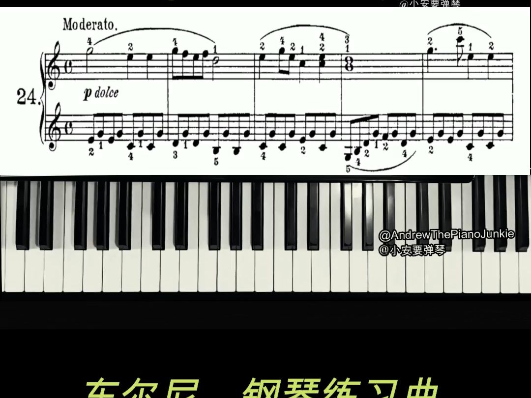 练习 24,车尔尼 作品823《小钢琴家》 | exercise no. 24, czerny op.