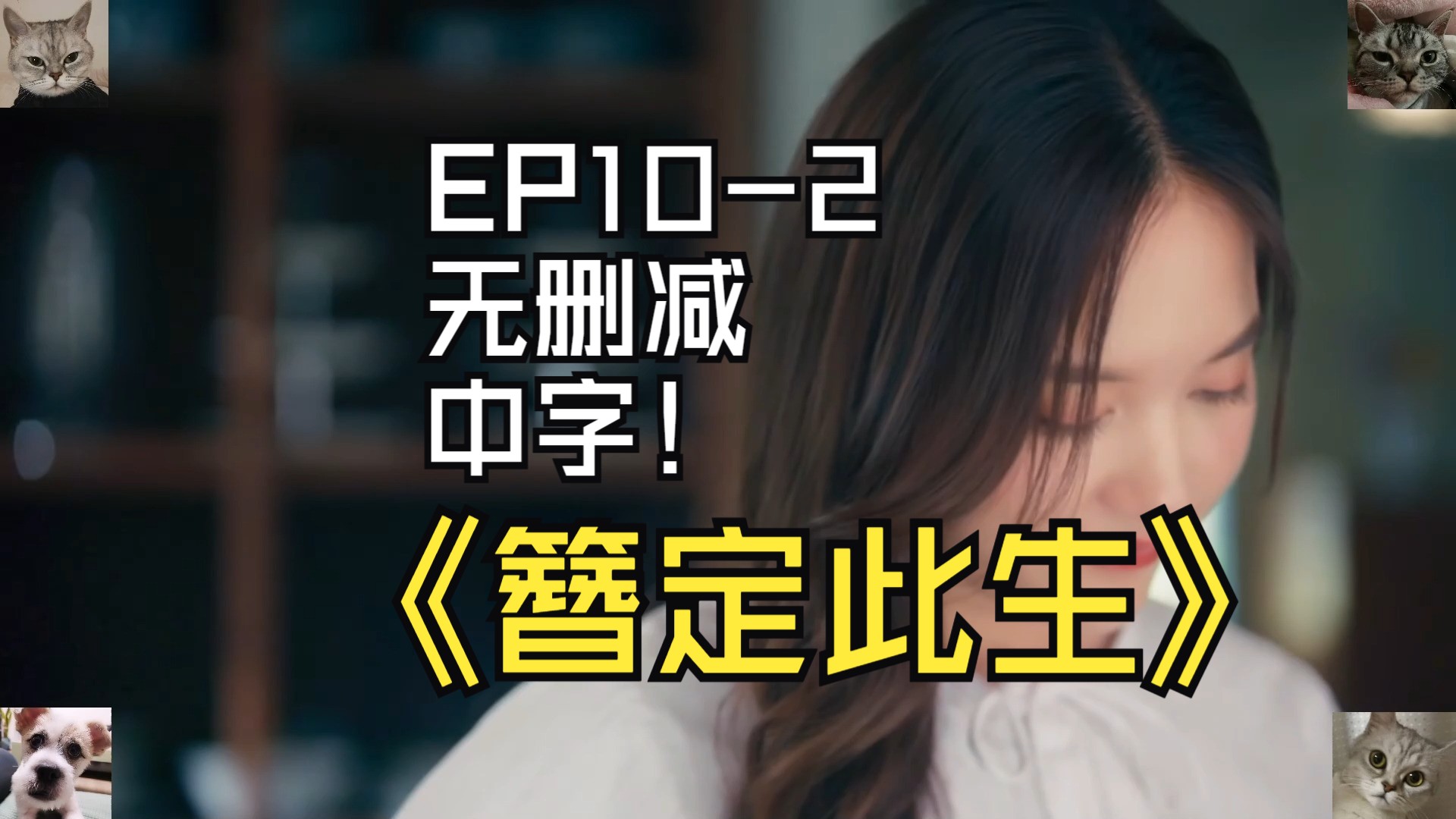 簪定此生EP102无删减中字哔哩哔哩bilibili