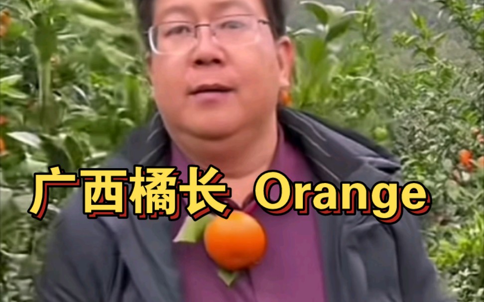 广西橘长来啦