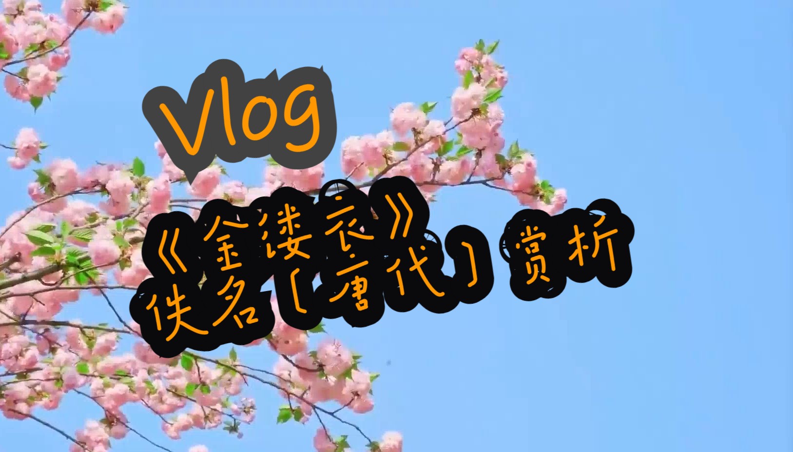 《金缕衣》佚名〔唐代〕赏析哔哩哔哩bilibili