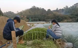 Tải video: 最欣赏的夫妻相处模式就是 -我不问，你事事有交代，这叫安全感