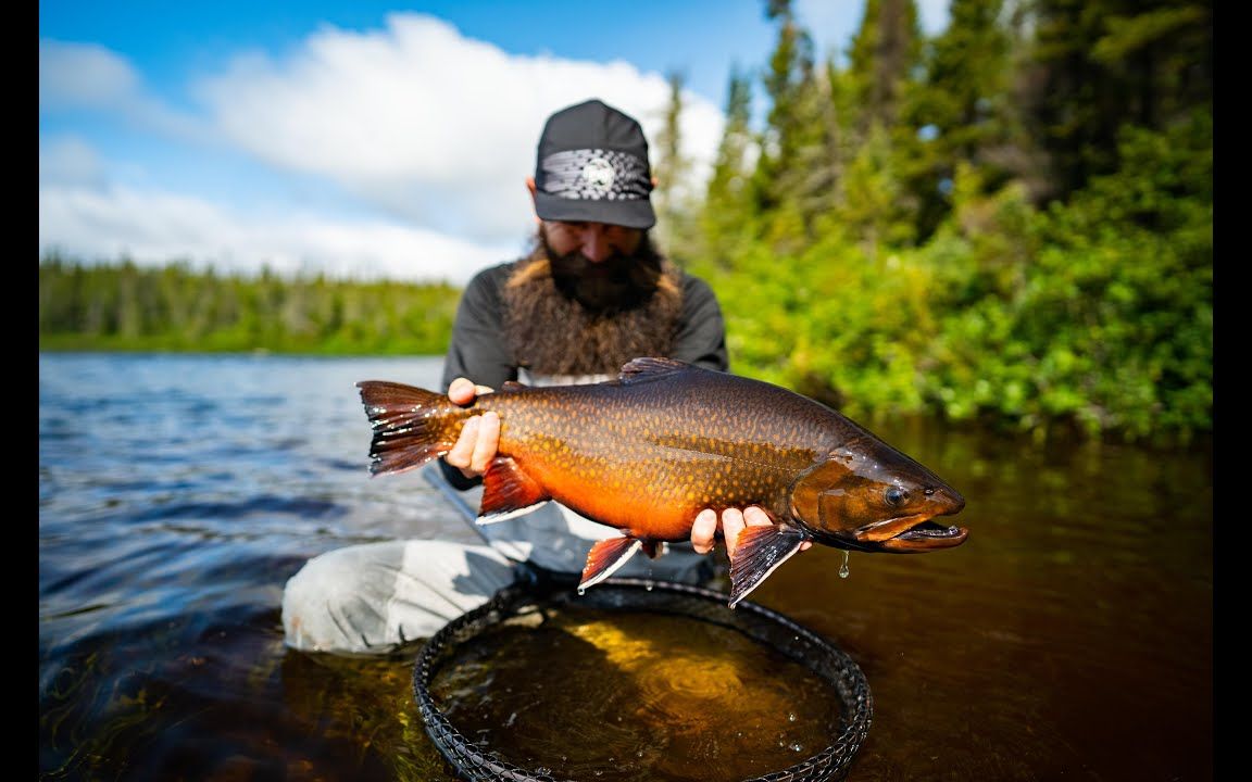 if4 2020 极光之枫 飞钓影片_哔哩哔哩_bilibili