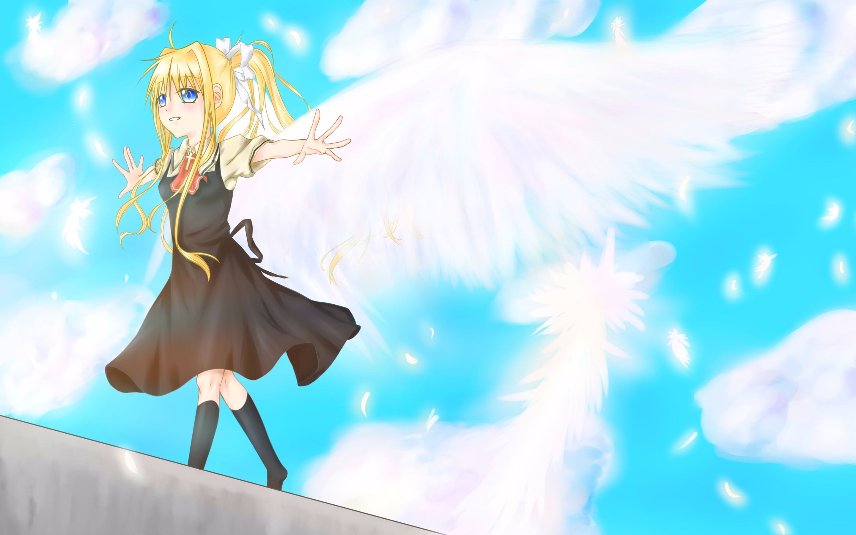 【二胡 / erhu】鸟の诗 / 鸟之诗 cover by blackfire lin_哔哩哔哩