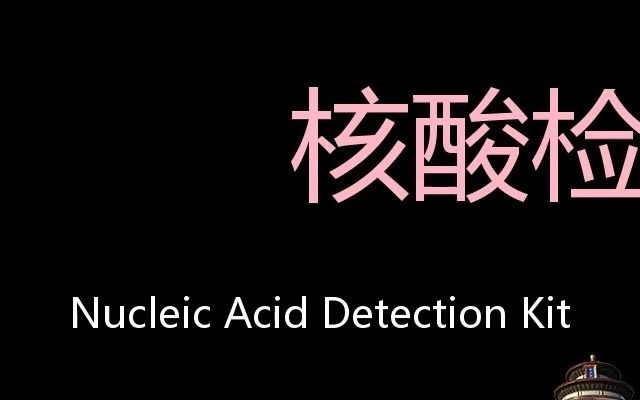 核酸检测试剂盒 Chinese Pronunciation Nucleic Acid Detection Kit哔哩哔哩bilibili