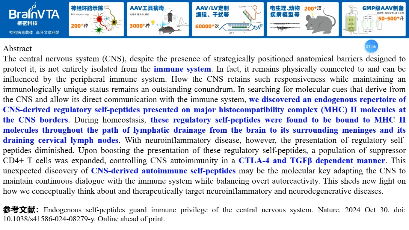 Nature—神经免疫研究重磅:内源性自身肽段的提呈是CNS免疫豁免的关键调控机制哔哩哔哩bilibili