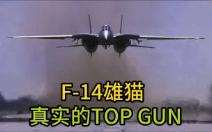 Download Video: 【怀念】F-14在真正的TOP GUN画面