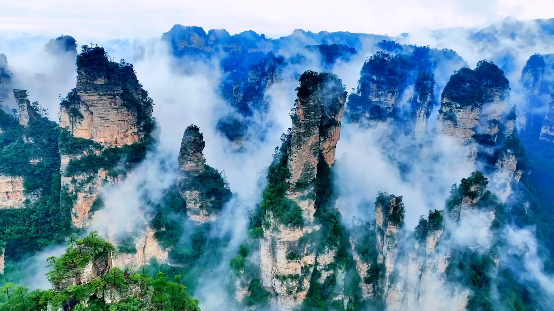 张家界国家森林公园_哔哩哔哩_bilibili