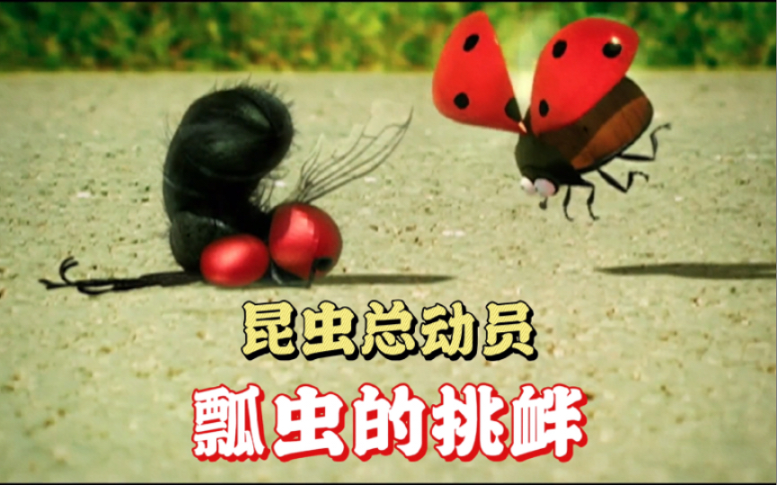 [图]【昆虫总动员】社会我瓢哥，虫狠话不多，偷家偷得多，蜘蛛喊大哥