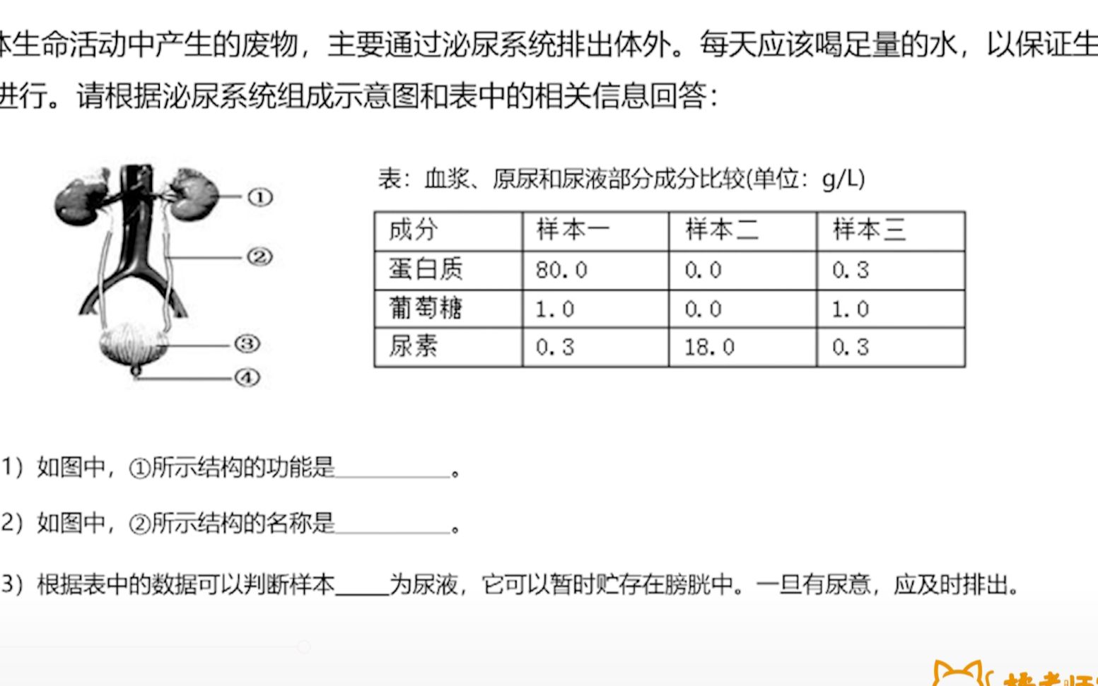 【橘老师实验室】泌尿系统试题解析哔哩哔哩bilibili