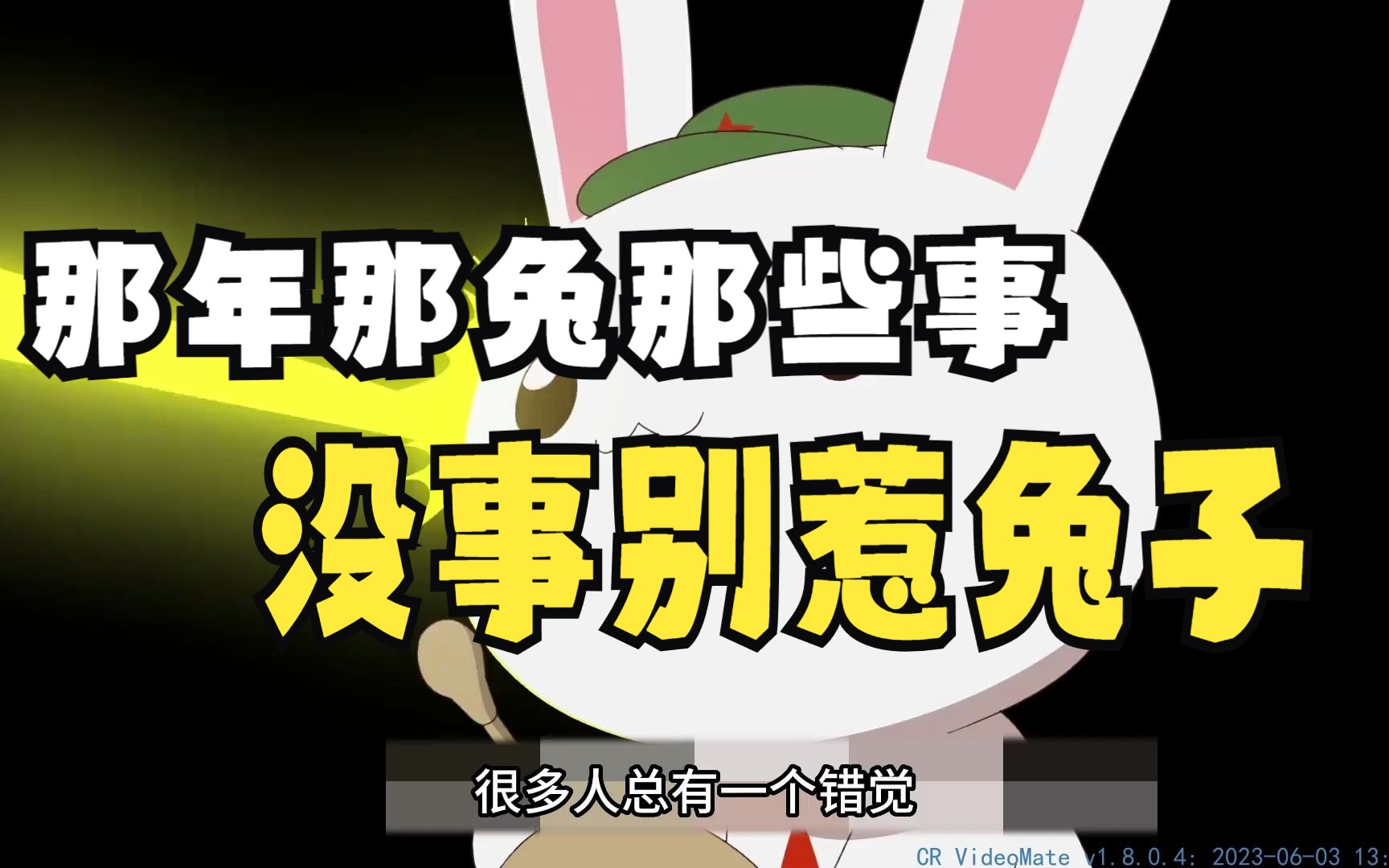 那年那兔那些事:没事千万别惹兔子(二)