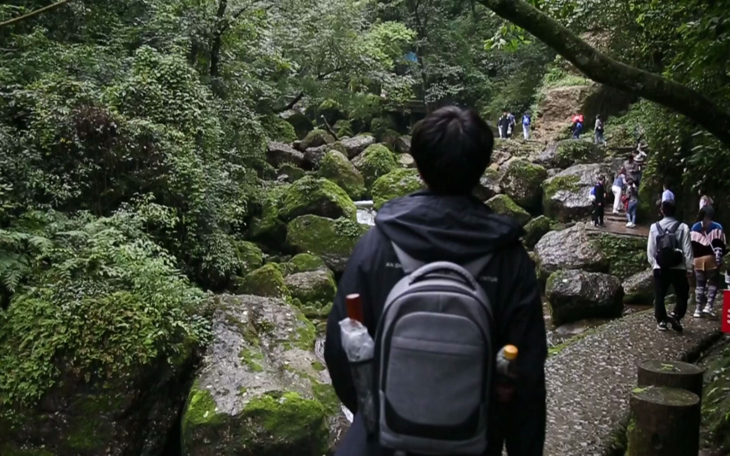 徒步青城山,累到思考人生| 清幽的山水配上寂静之声,令人平心静气,怡然自得哔哩哔哩bilibili