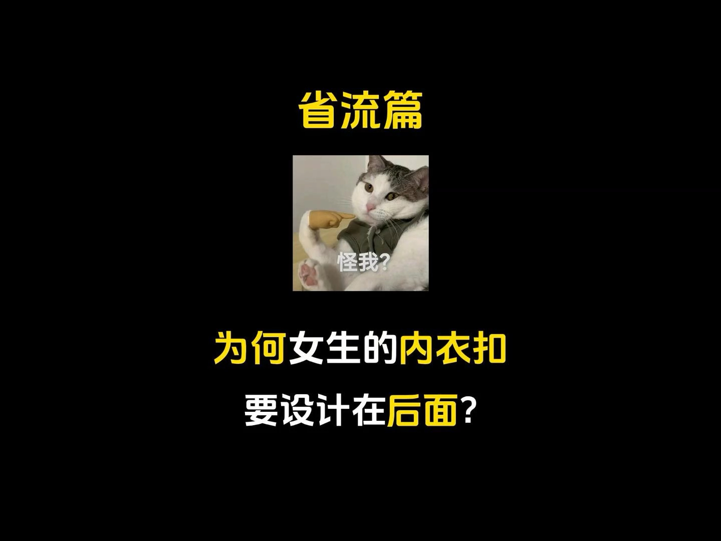 你善解人衣吗、哔哩哔哩bilibili