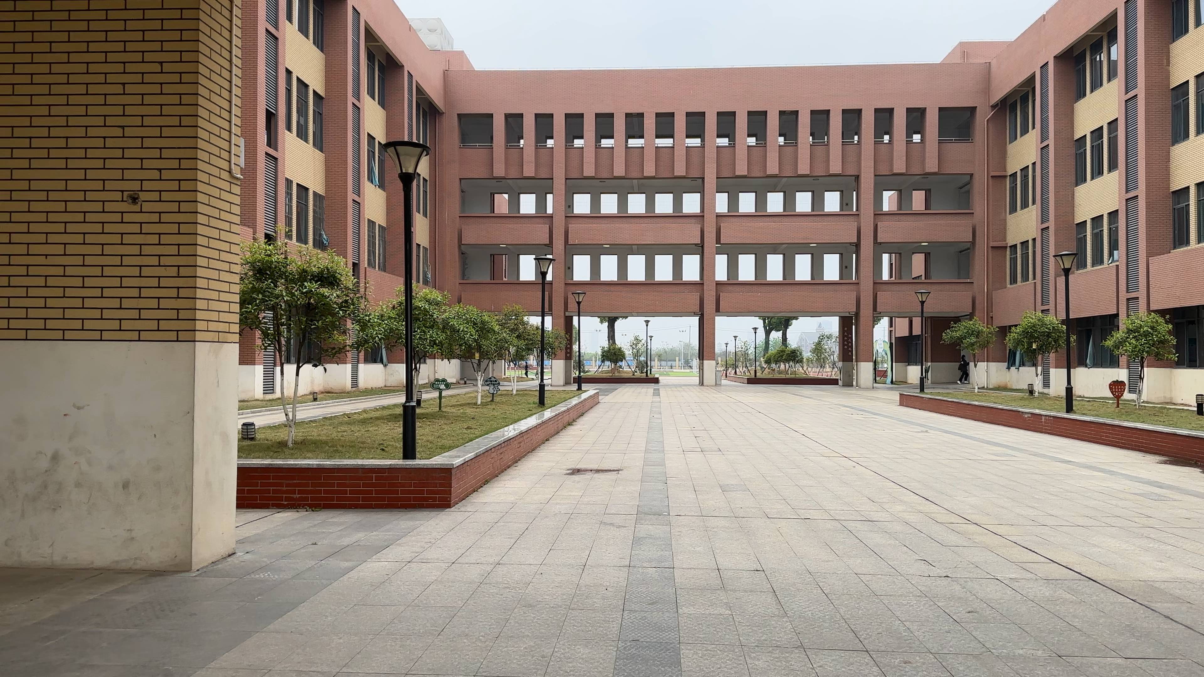 学校环境还不错