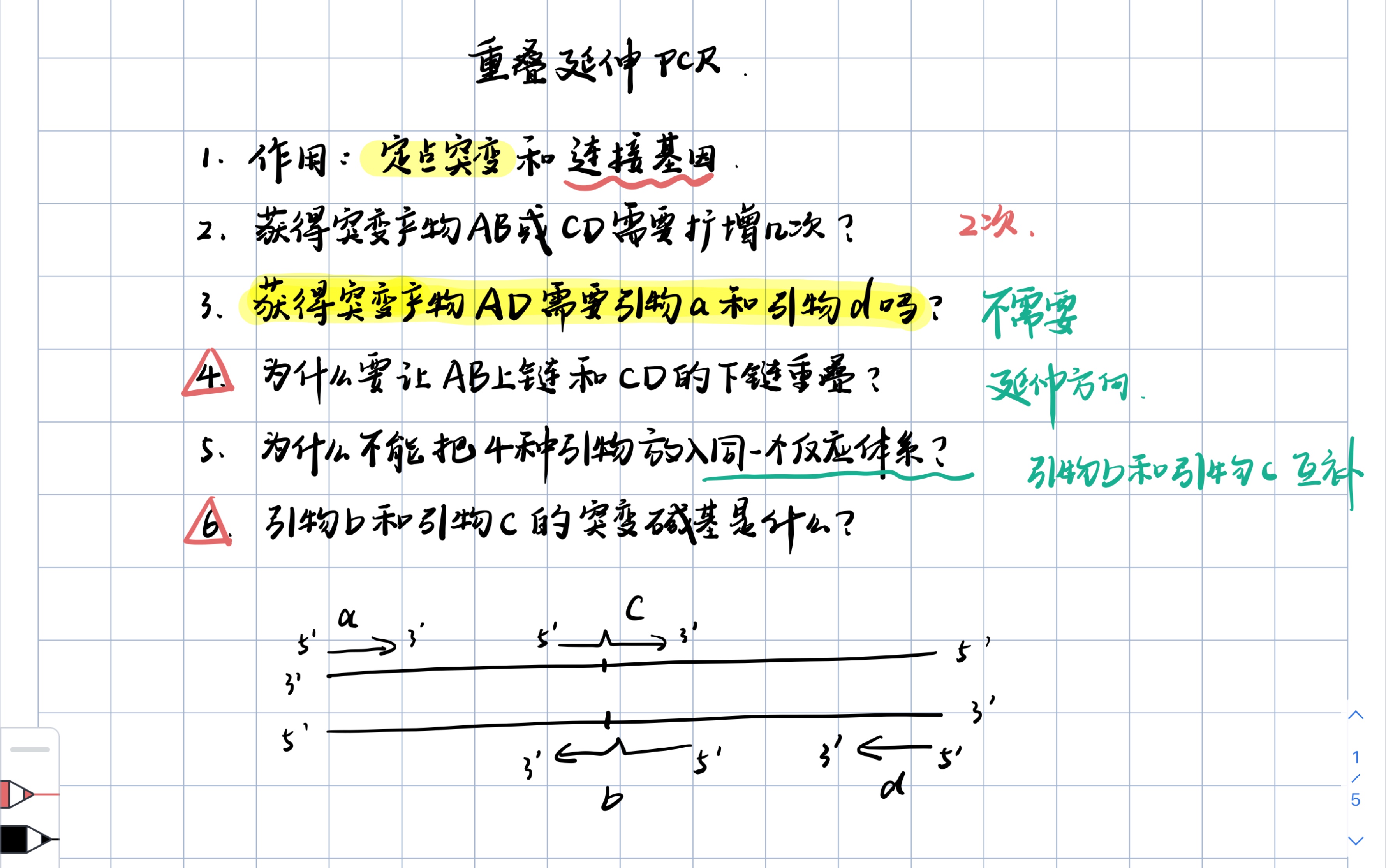 【基因工程】重叠延伸PCR知识点一网打尽!题目中出现的知识点全都总结到一起,不怕你学不会!快高考的同学也来看看吧,没准儿能再提高五分!哔哩...